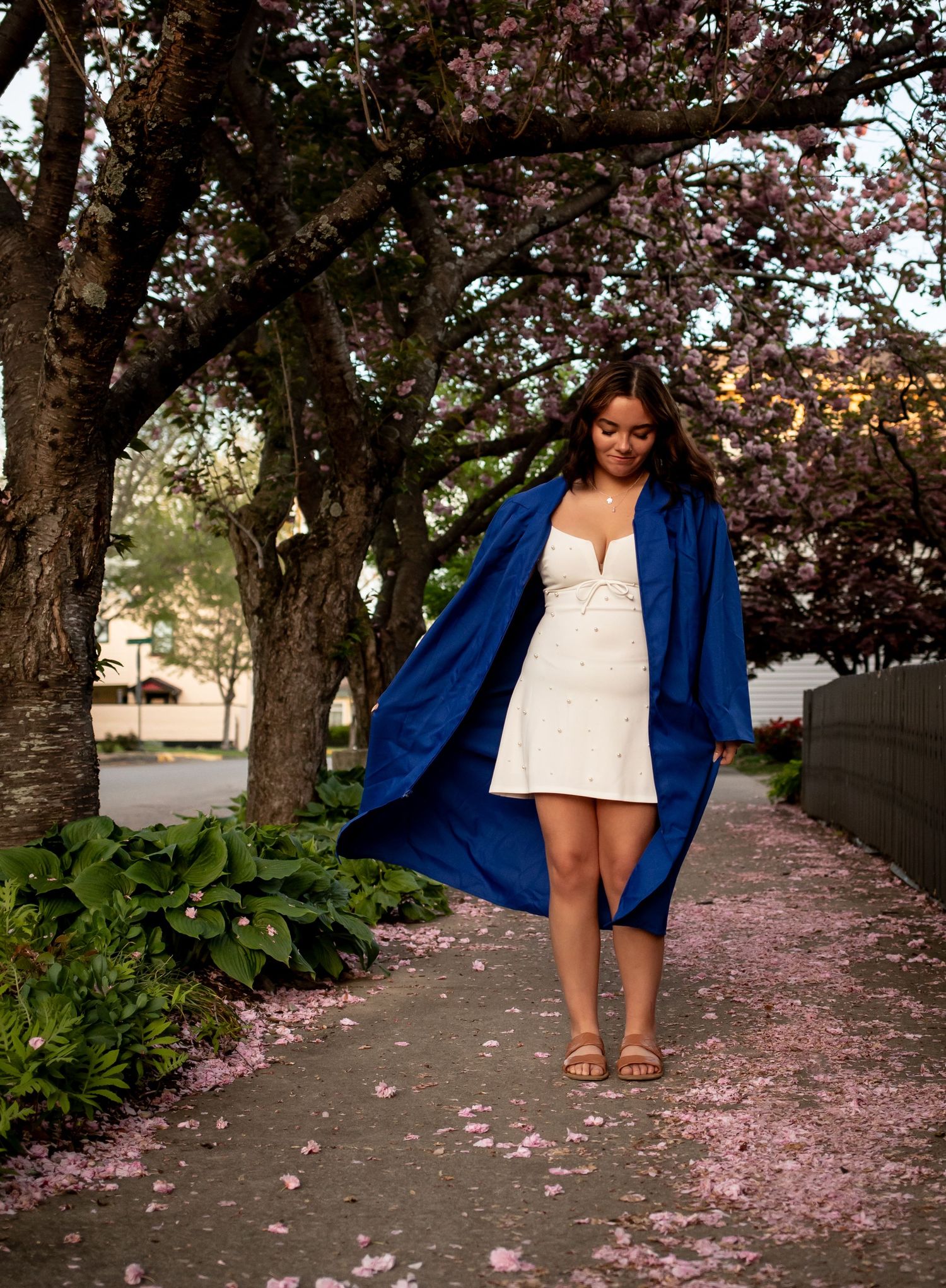 A person wearing a blue blazer and white dress walks along a cherry blossom-lined path in spring.