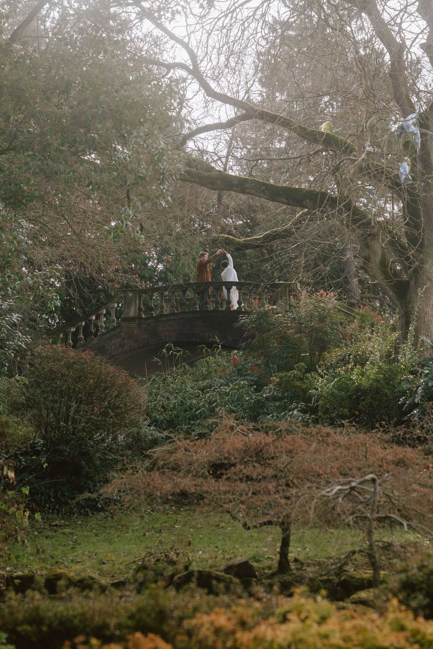 A misty winter garden scene with bare trees and moss-covered ground creating a moody atmosphere.