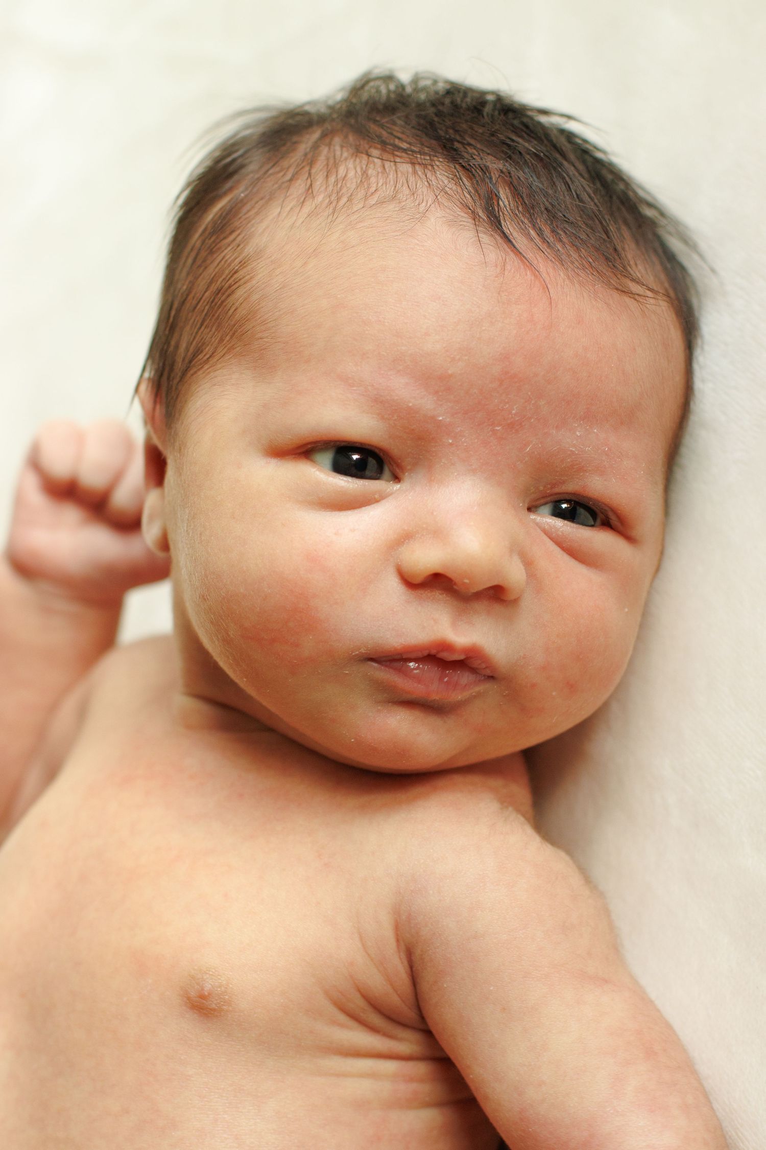 newborn photography, Williamsport Pennsylvania