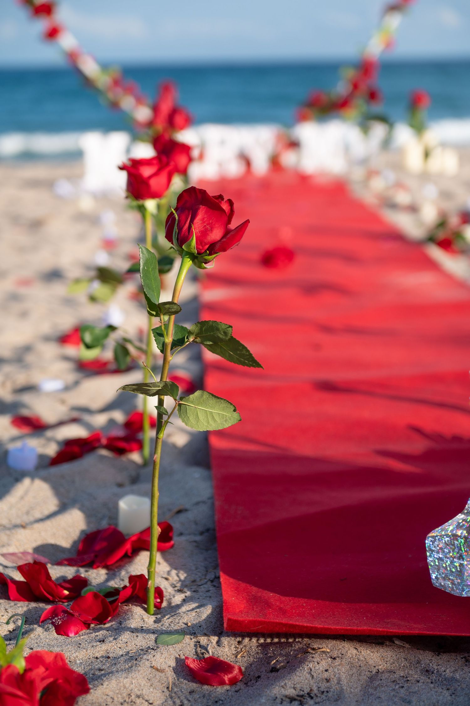 Miami Beach wedding photography, Ft Lauderdale event photography, Homestead event photography, miami party photography, engagement