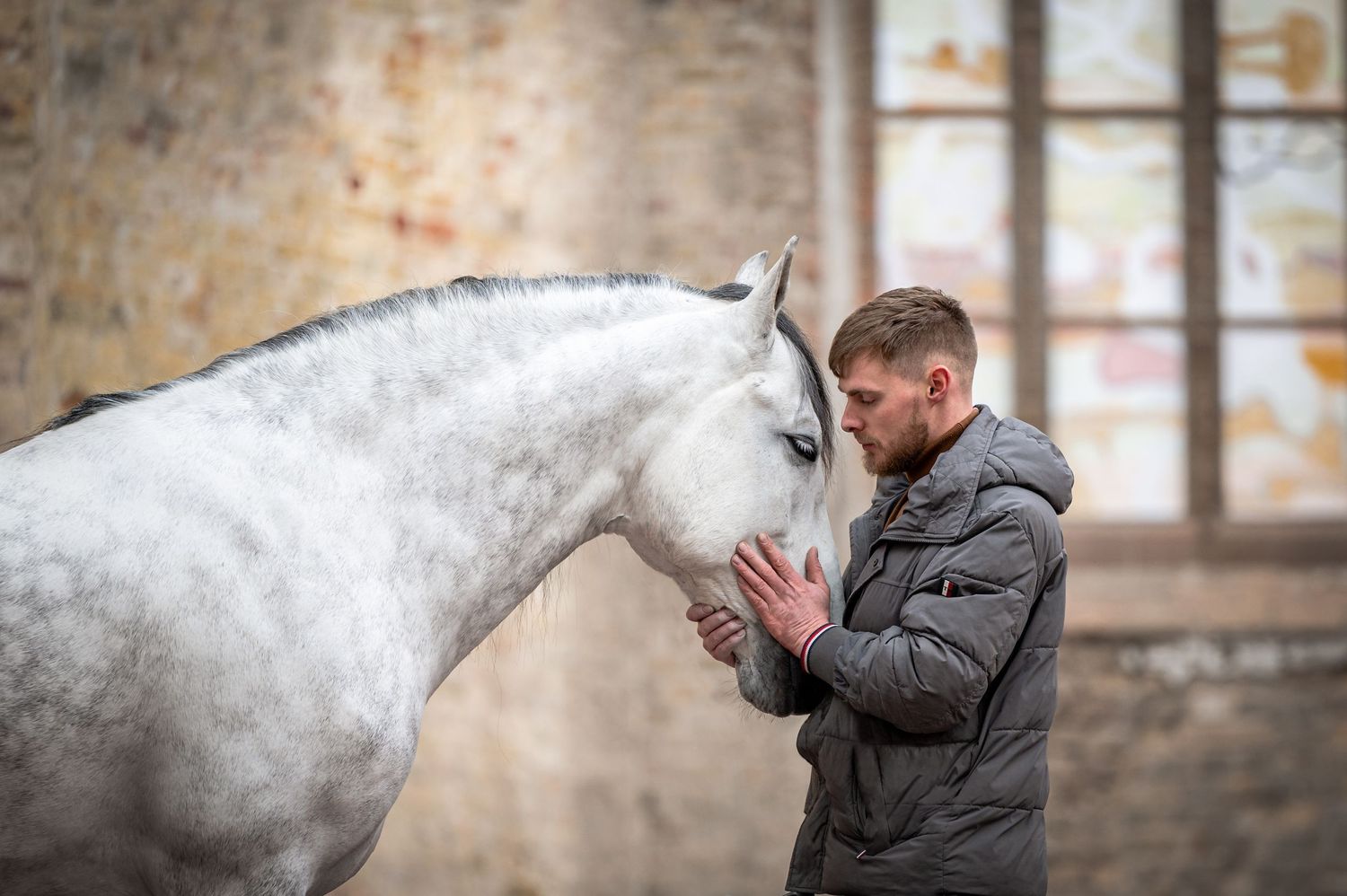 Portfolio paard - Broerekerk