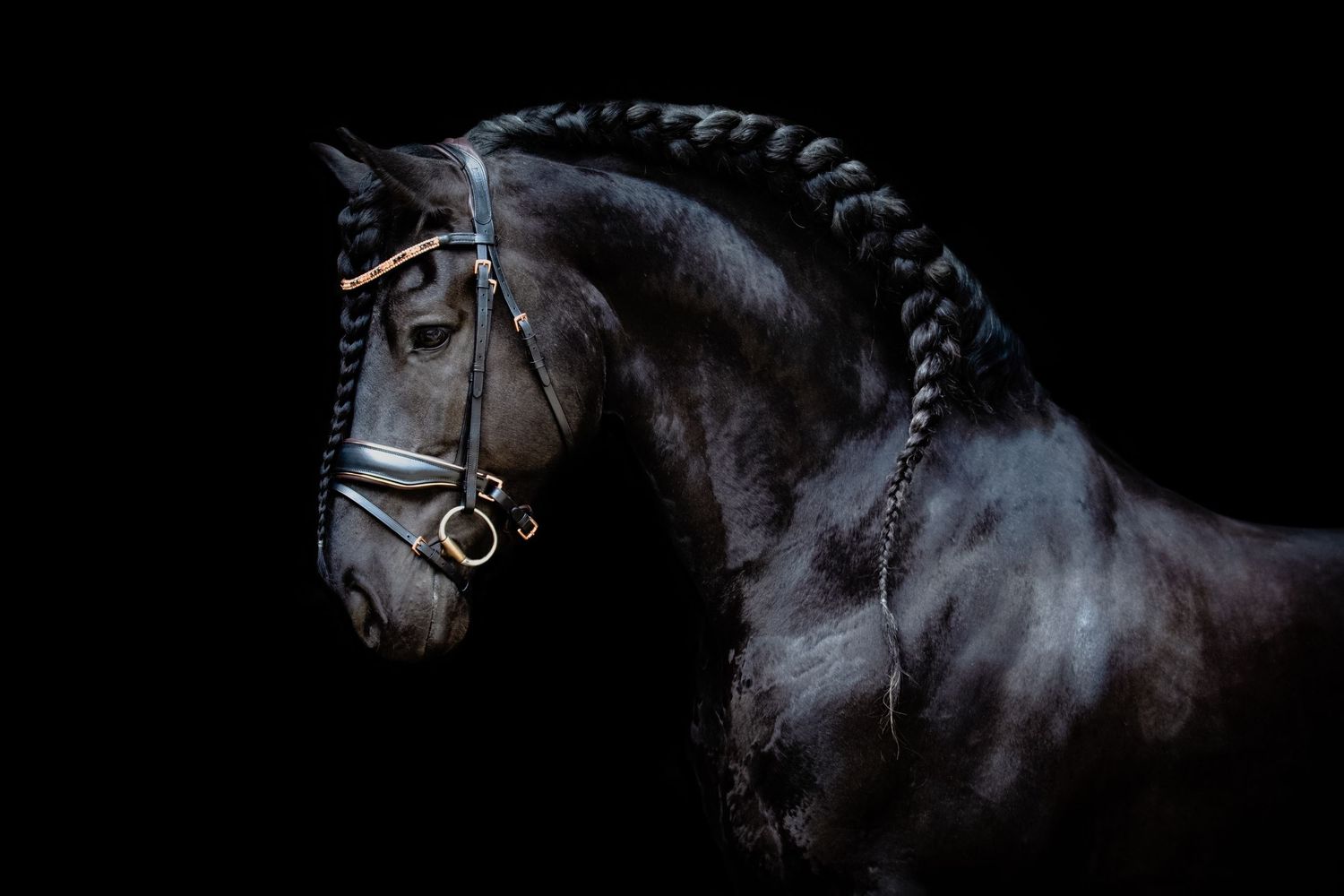 Floris