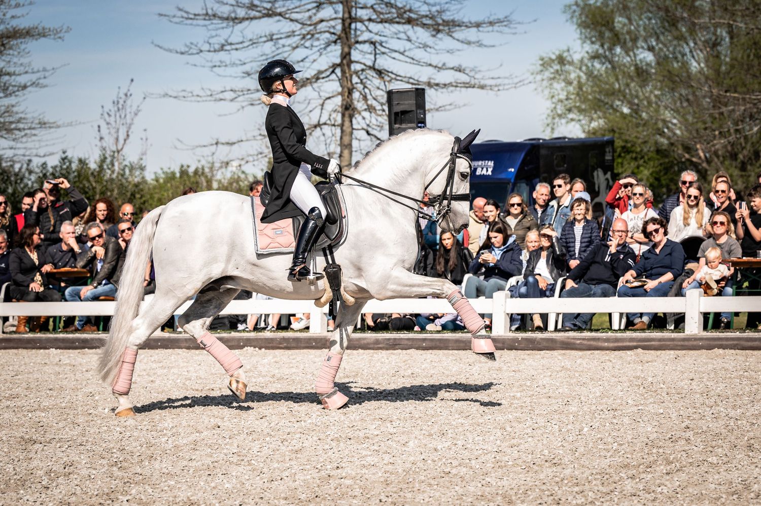 Britt Dekker met George - Hengstenshow van Uytert