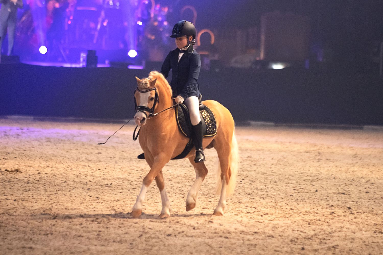 Friesian Proms 2023