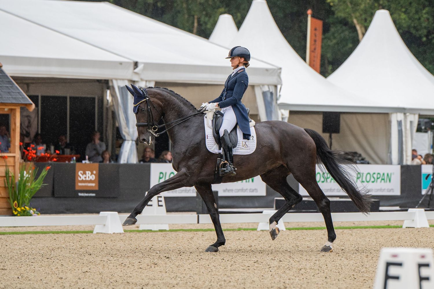 Marieke van der Putten - NK Dressuur 2025