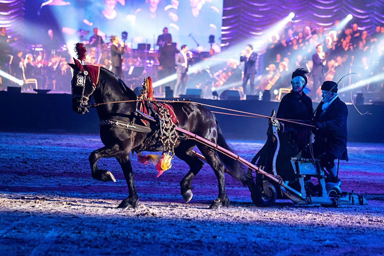 Friesian Proms 2023