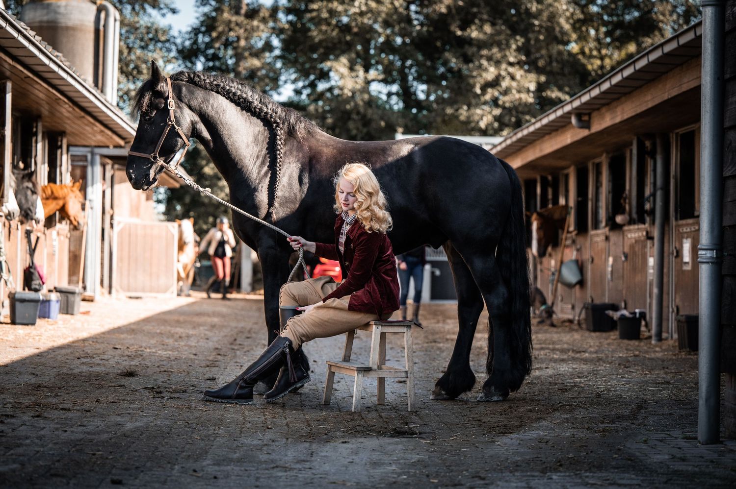 Portfolio paard