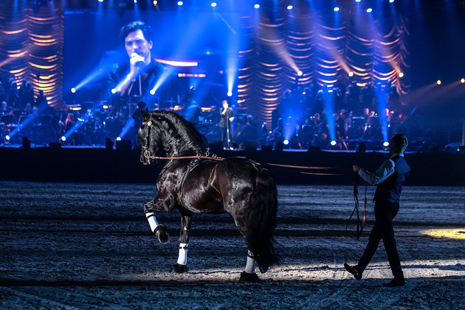 Friesian Proms 2023