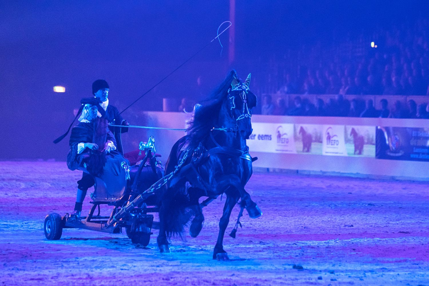 Friesian Proms 2023