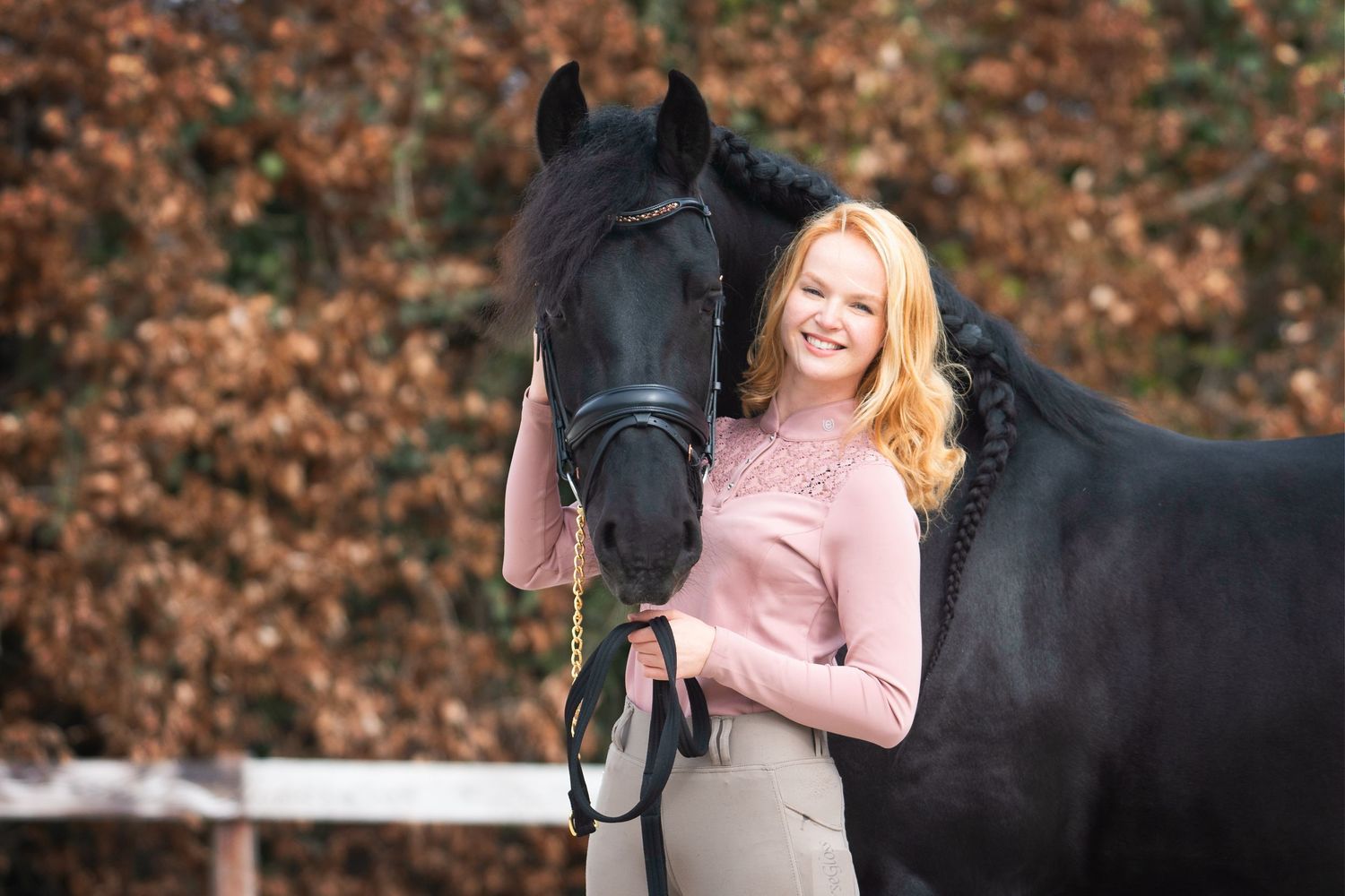 Portfolio paard