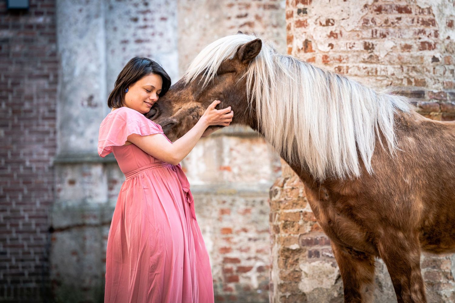 Portfolio paard