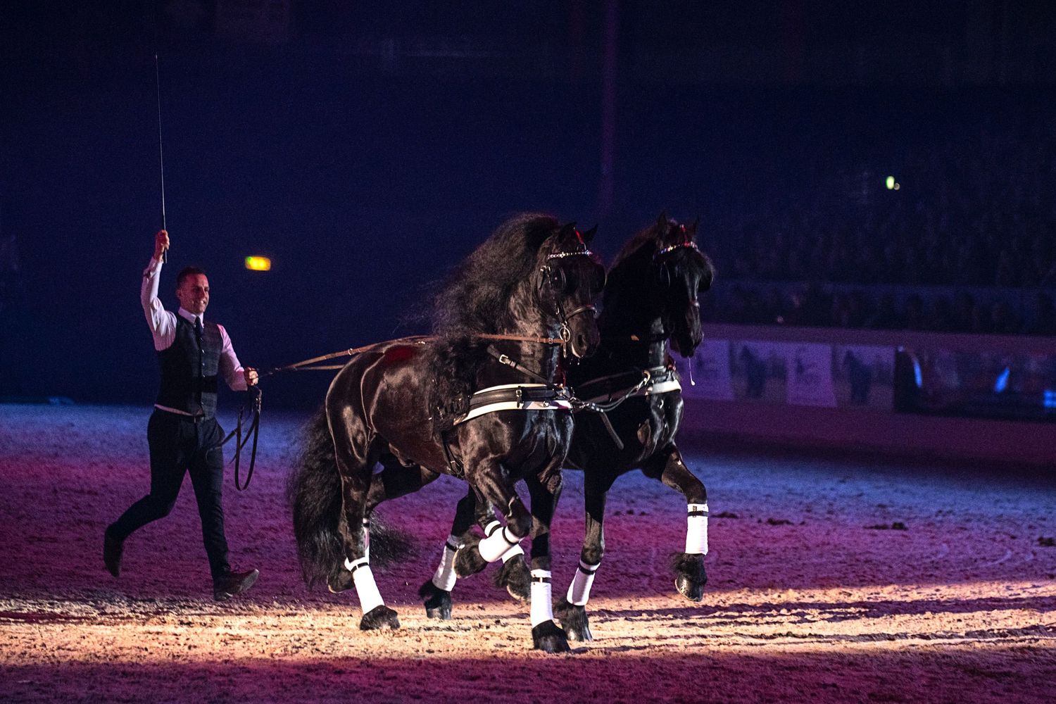 Friesian Proms 2023