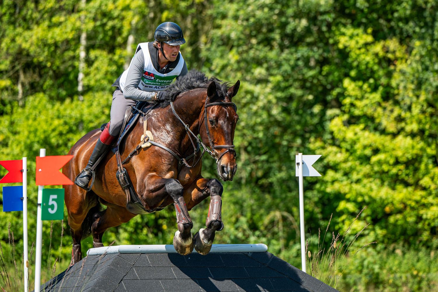 Eventing Flevoland 2024