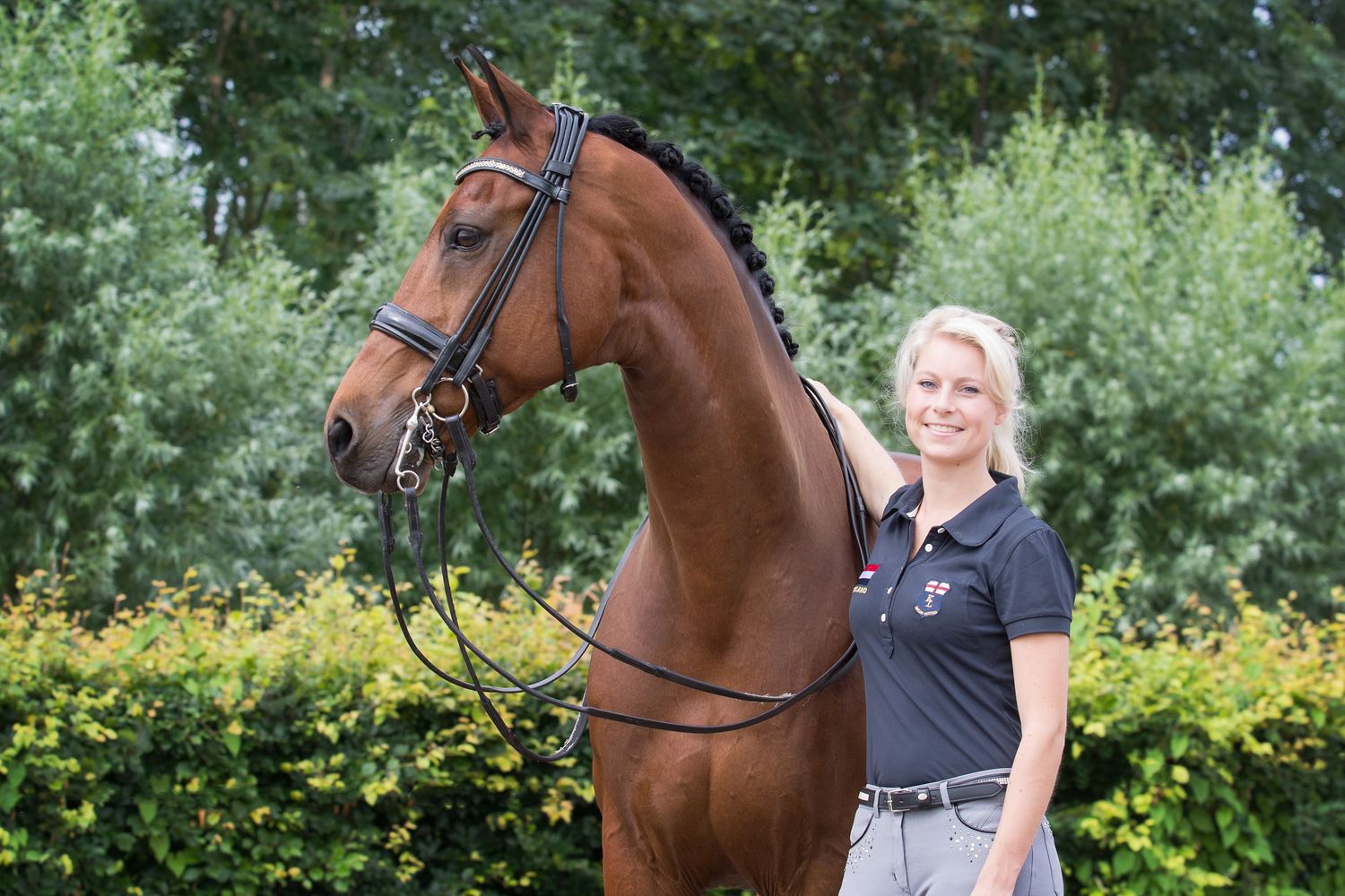 Portfolio paard