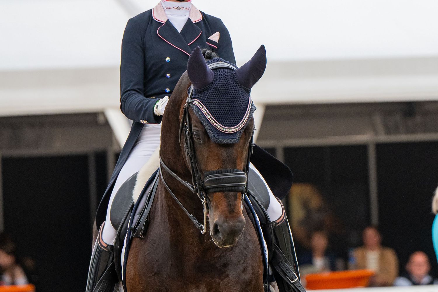 Dinja van Liere met Hermes - NK Dressuur 2025