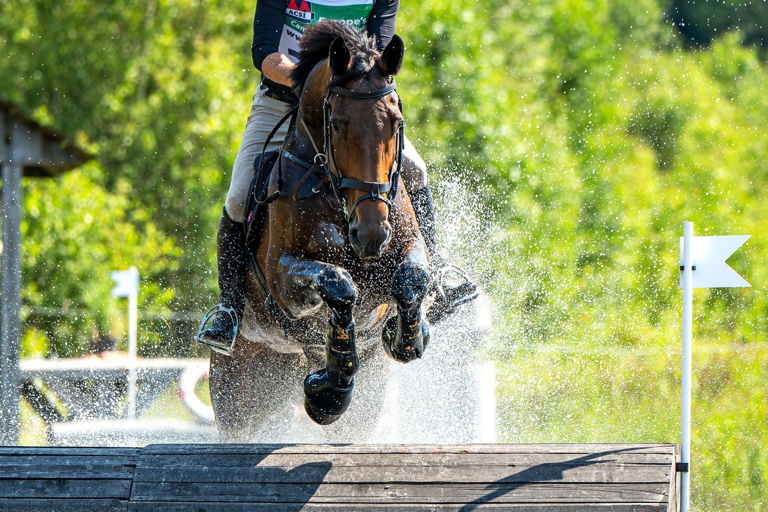 Eventing Flevoland 2024