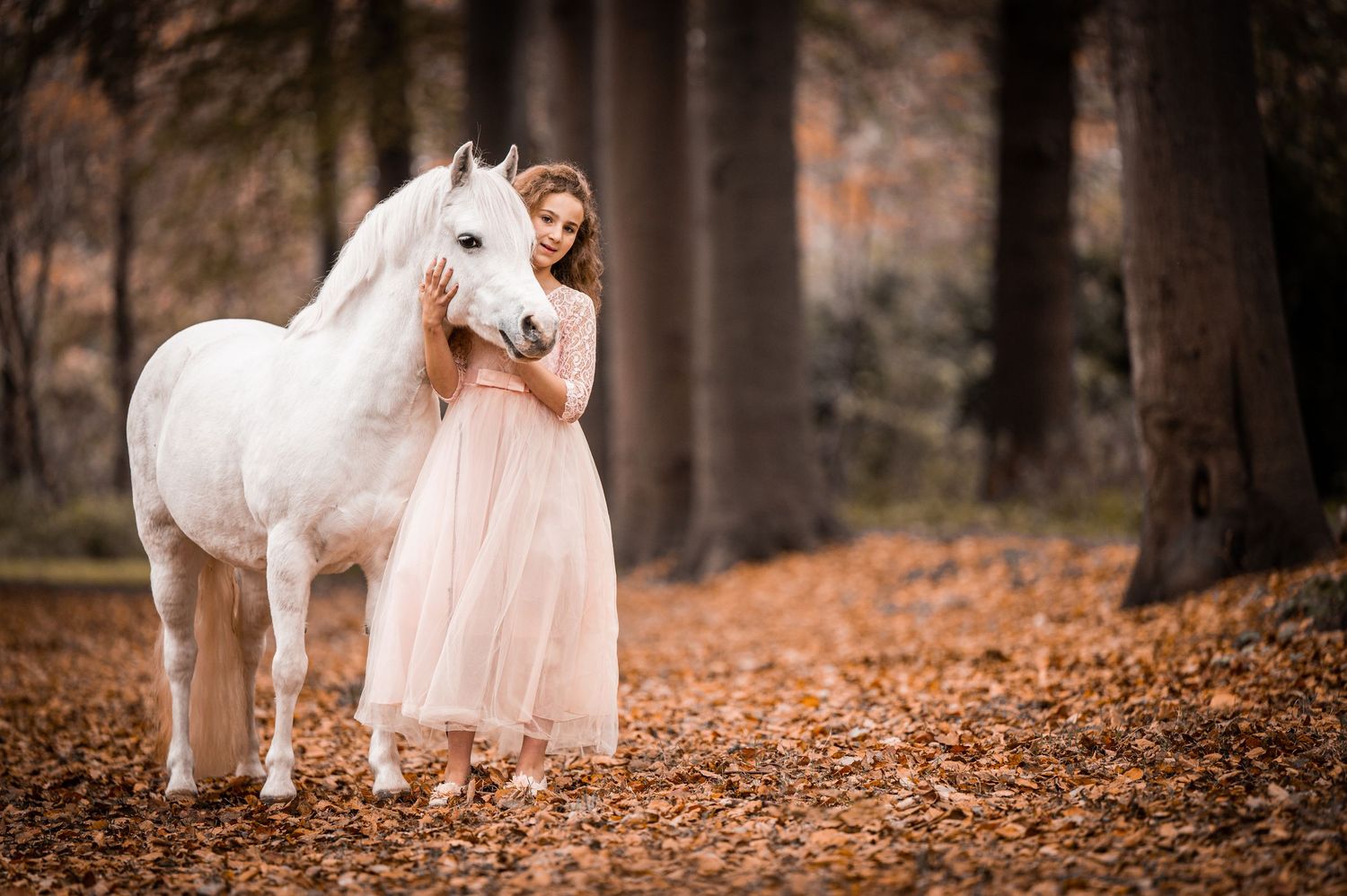 Portfolio paard