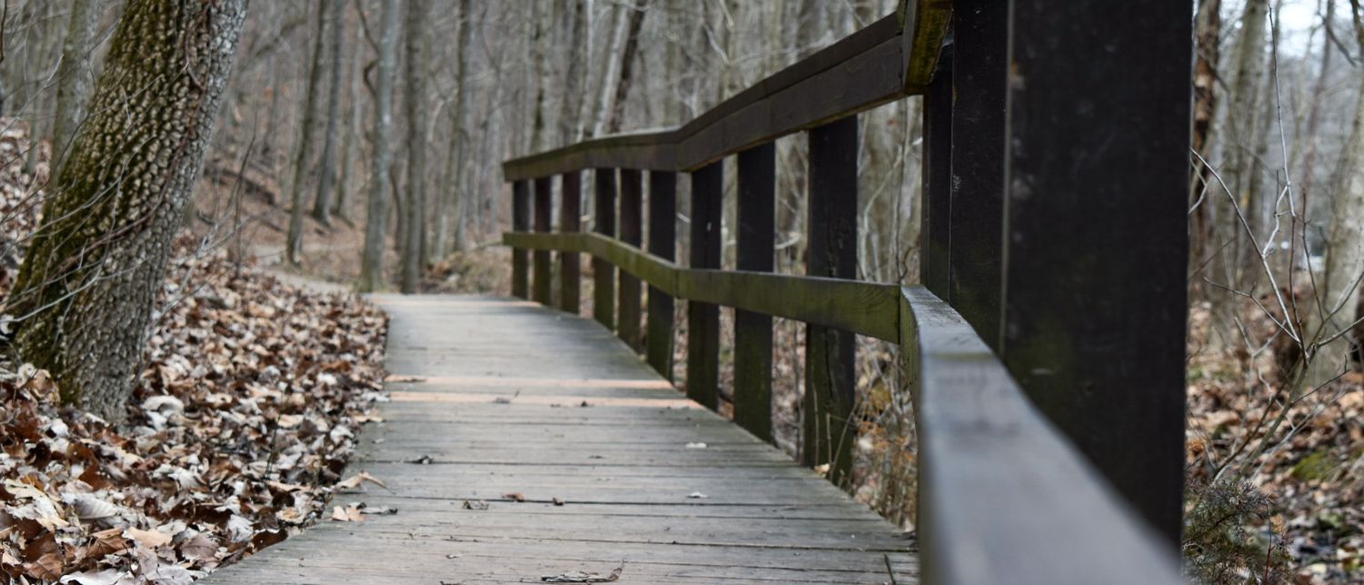 Take a walk with me.