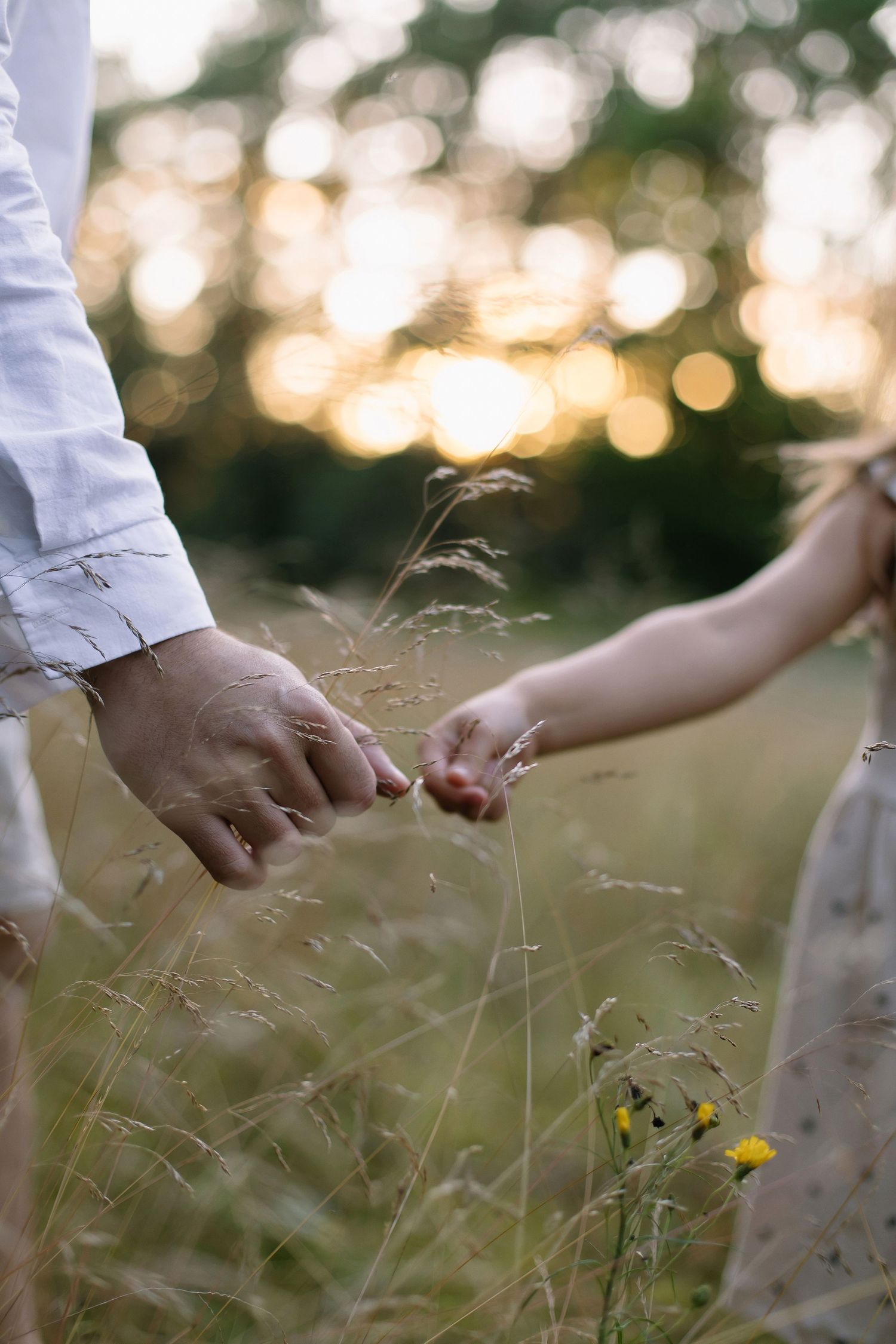 Adult and child holding hands in a golden sunset meadow with wildflowers and tall grass.