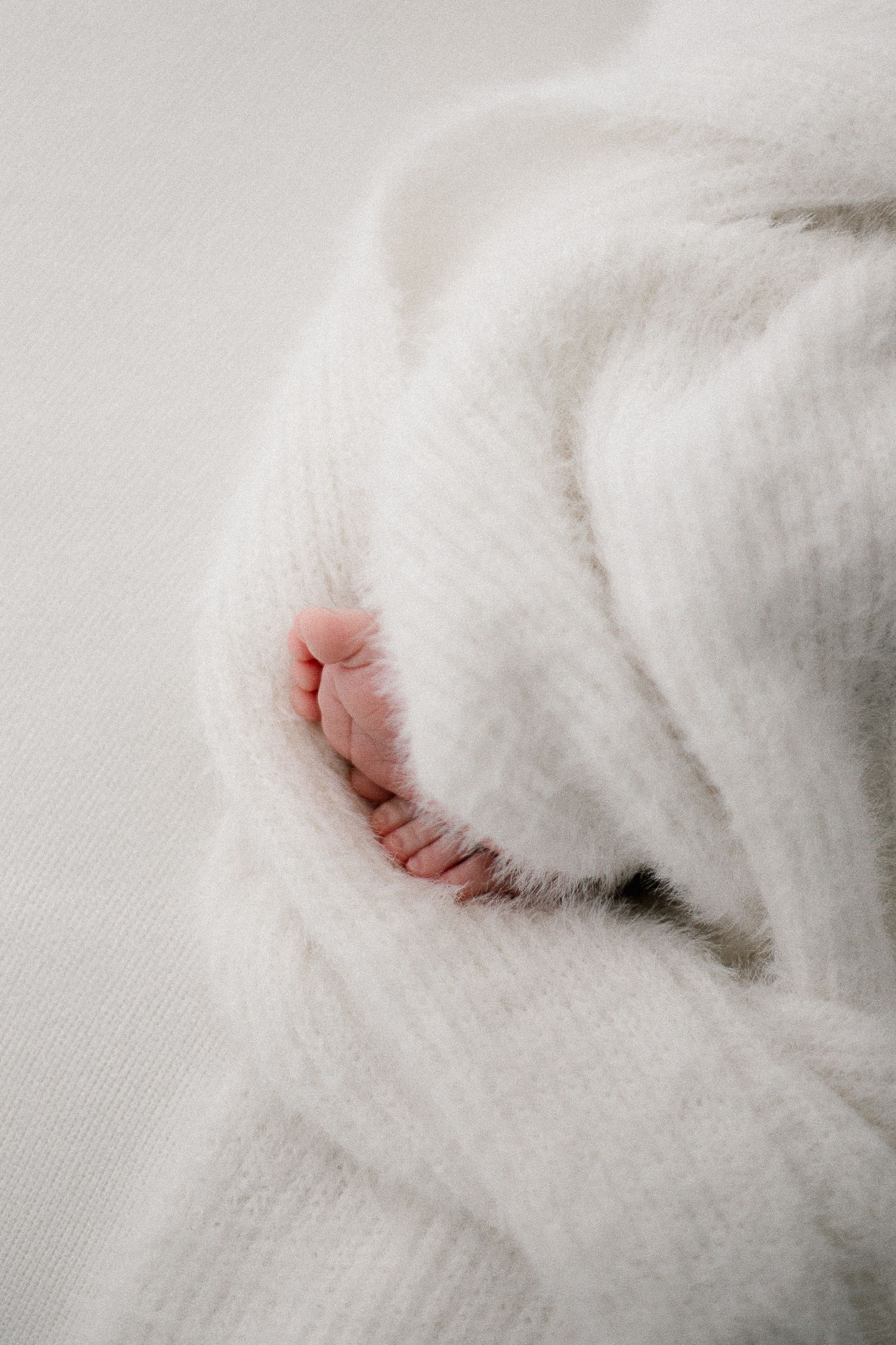 Tiny pink newborn baby toes peeking out from a soft white fluffy blanket wrap.