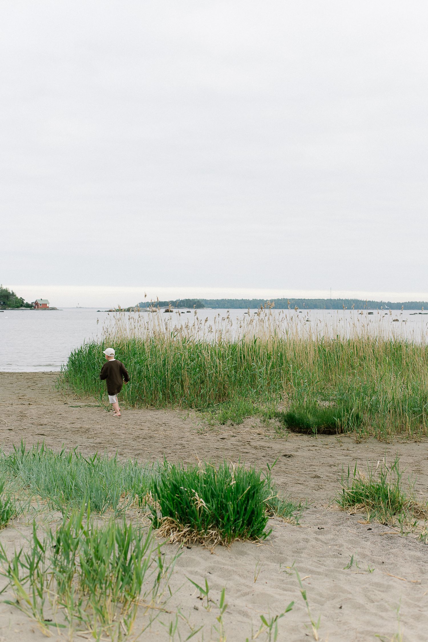 A child walks among tall reeds on a sandy beach shore with calm water and overcast sky in the background.