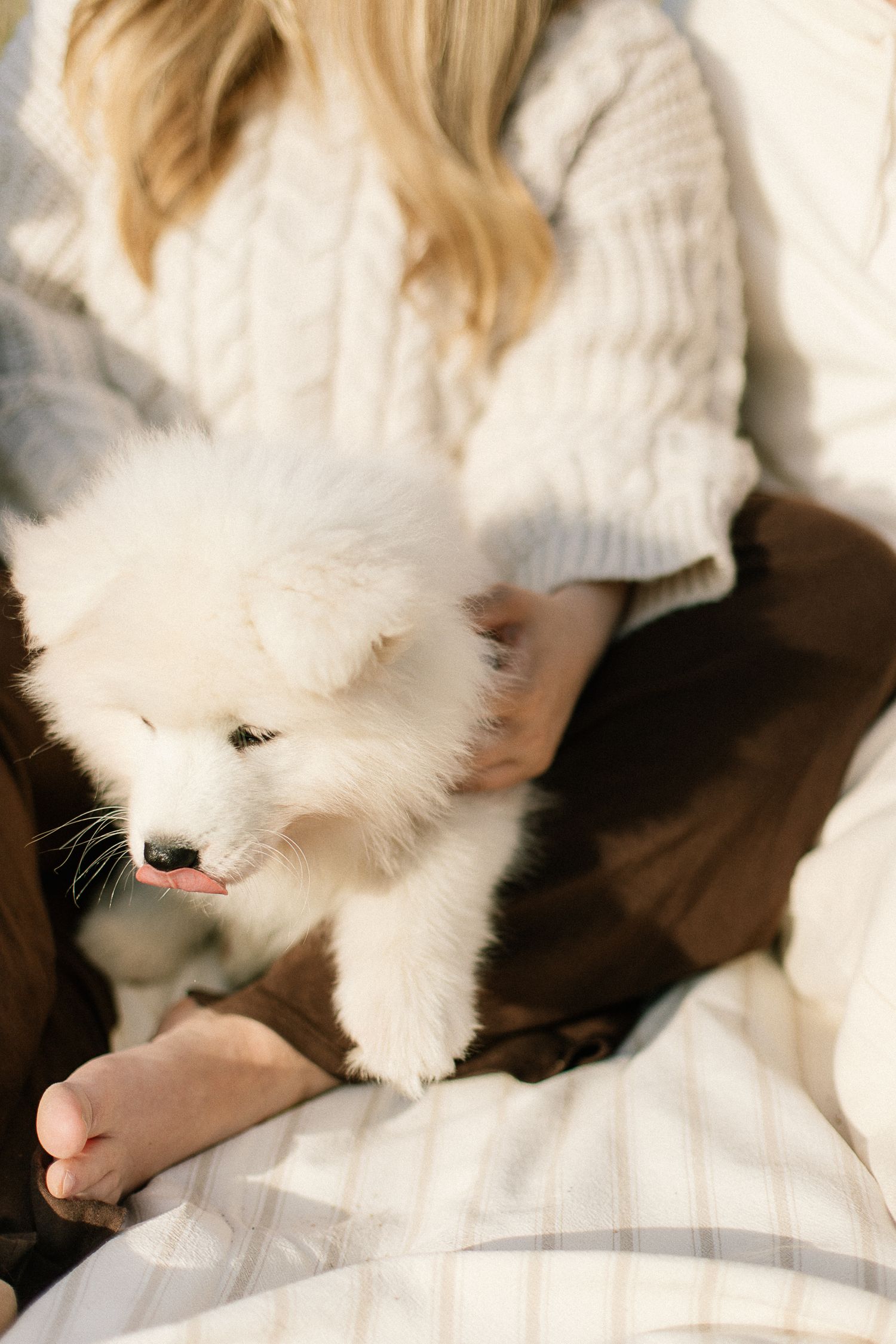 Woman in white knit sweater holding a fluffy white Samoyed puppy on a plaid blanket outdoors.