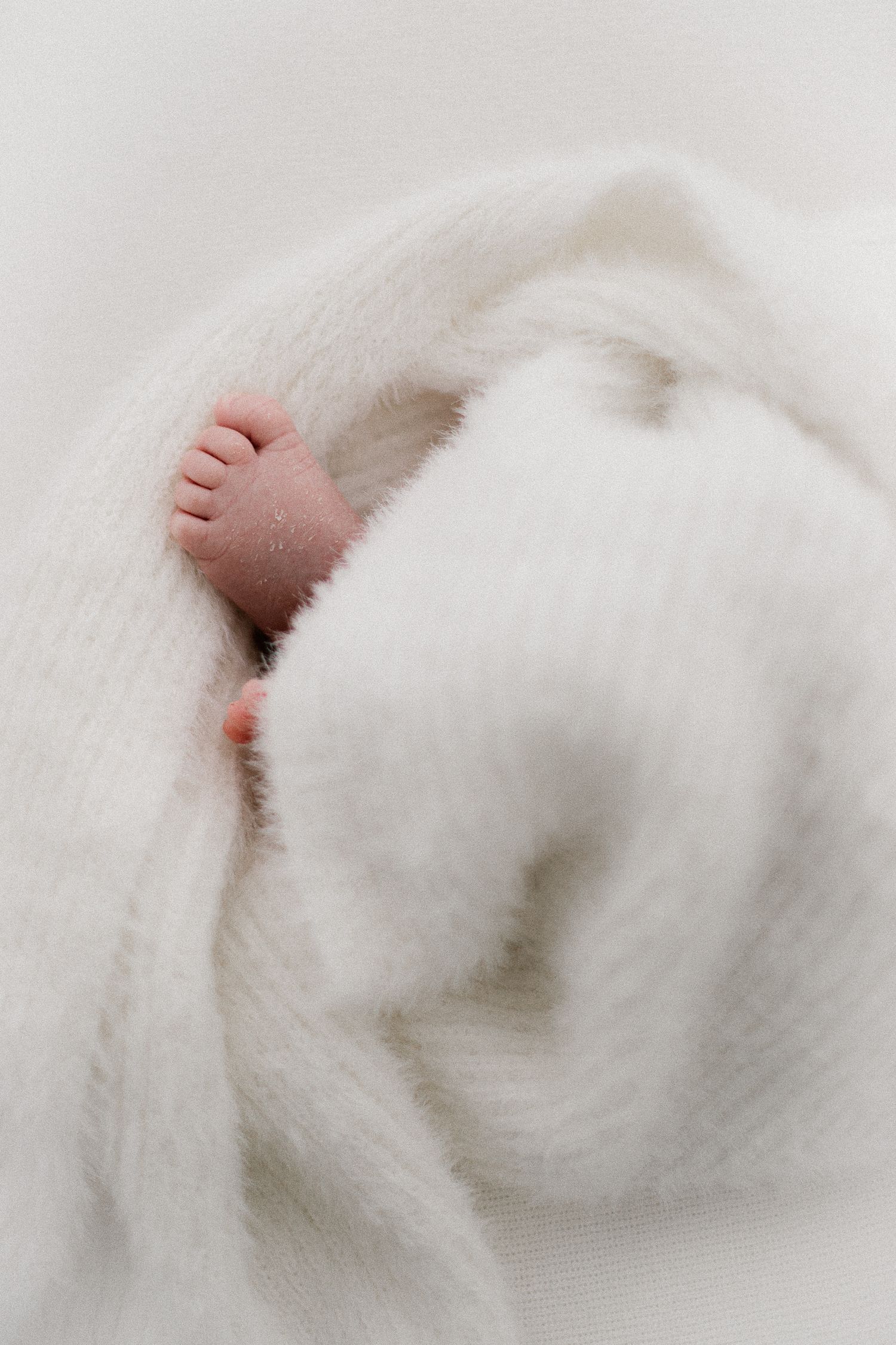 Tiny newborn baby feet peeking out from a soft white fluffy blanket, close-up photography.
