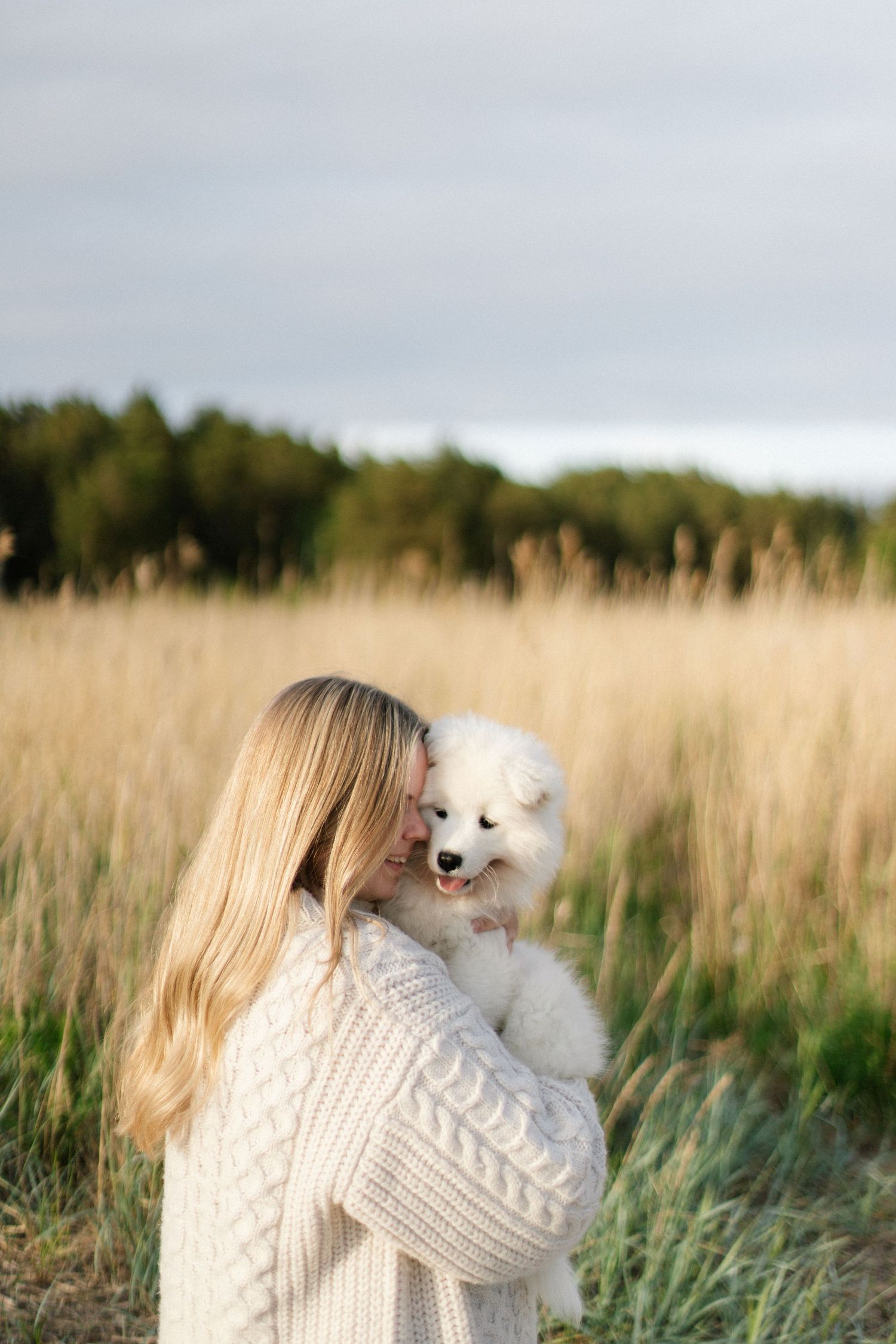 A young blonde woman in a white knit sweater holds a fluffy white Samoyed puppy in a golden field.