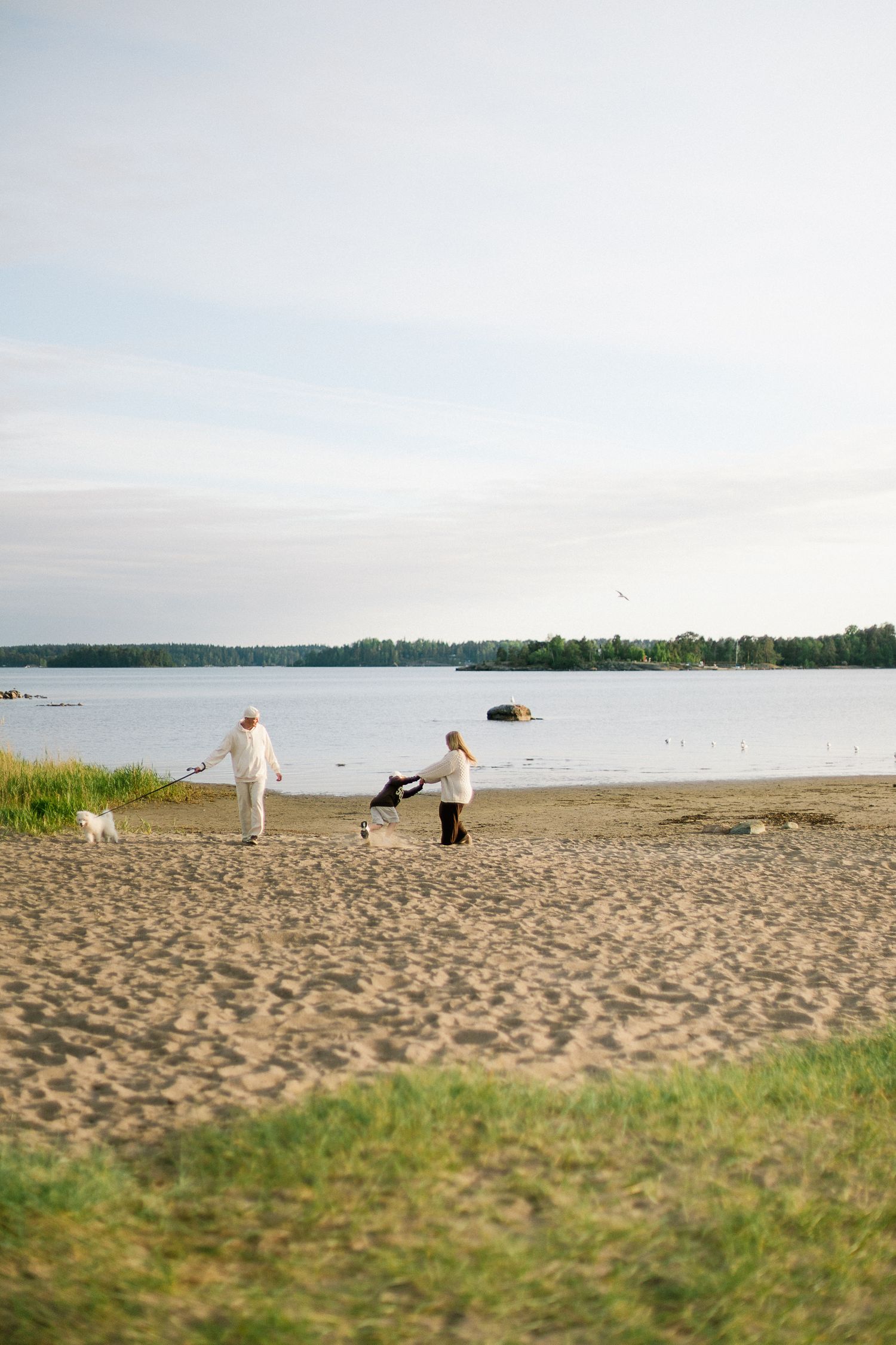 Two people and a dog walking on a sandy beach near a calm lake with green trees in the background.