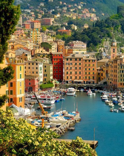 charter portofino