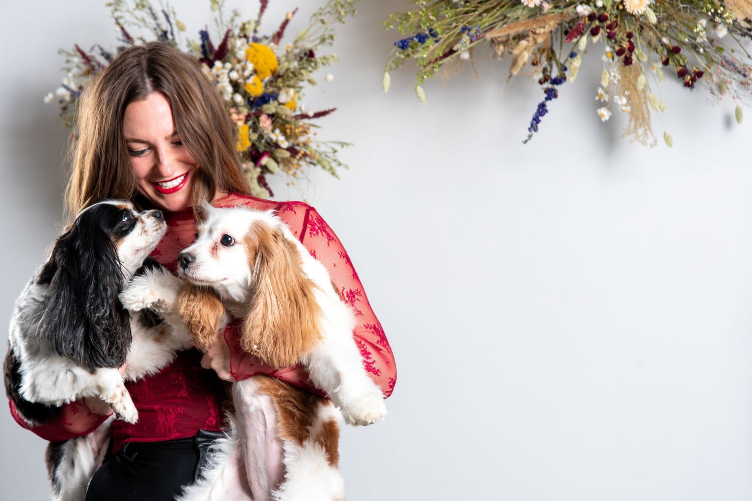 Playful winter photoshoot with dogs and falling snow against a white background.