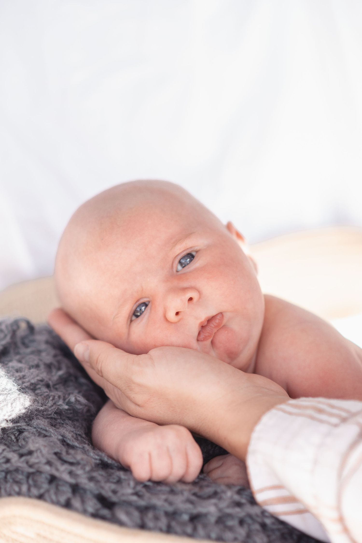 A newborn baby with blue eyes rests their cheek on an adult hand, lying on a gray knit blanket.