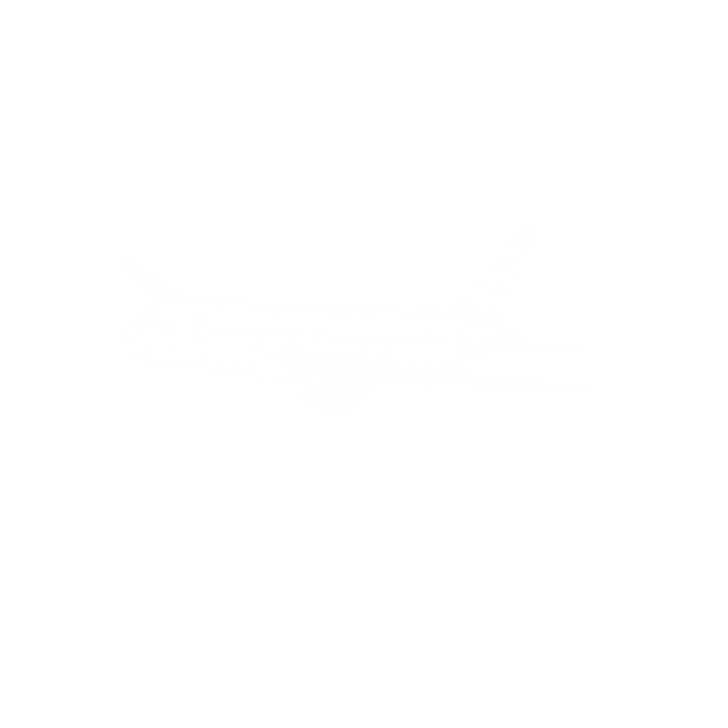 Blank white image with no visible content.