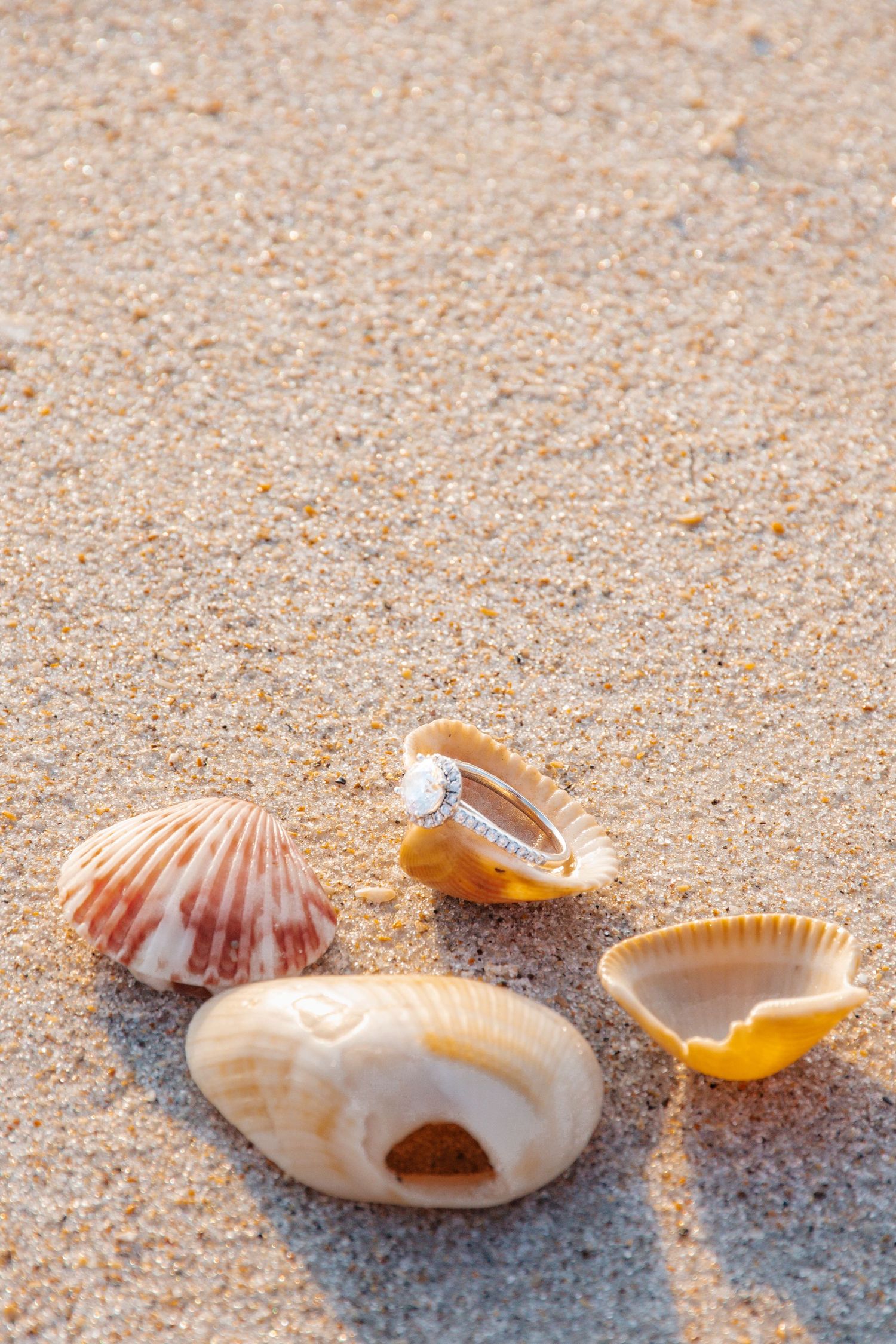 Diamond engagement ring nestled in a seashell on sandy beach with scattered shells in warm sunlight.