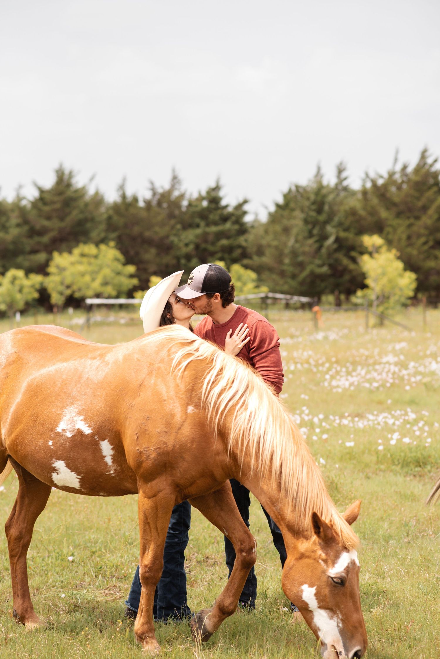 Couple kissing behind a palomino horse grazing in a green pasture, woman wearing a cowboy hat.