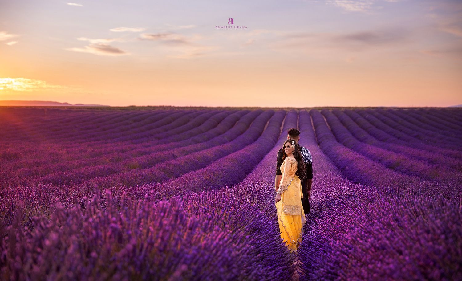 Pre-wedding shoot – couple embracing in vast purple lavender field at golden hour, romantic Indian wedding photography by Amarjot Chana