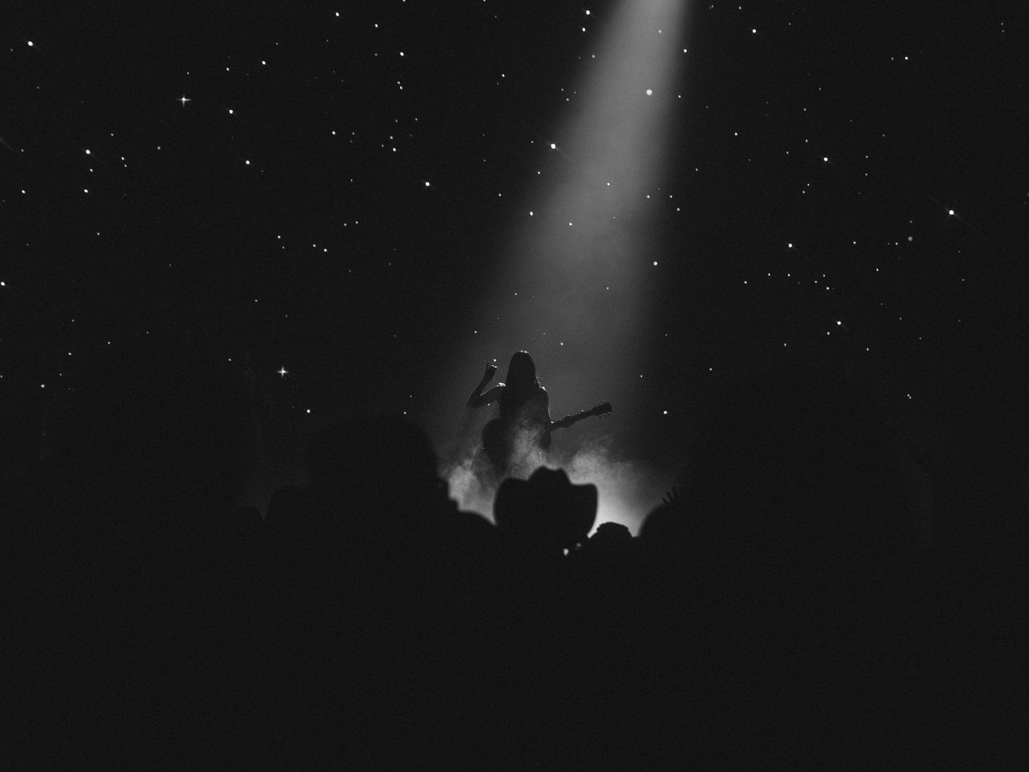 Silhouetted crowd figures under spotlight beams in dark concert venue.