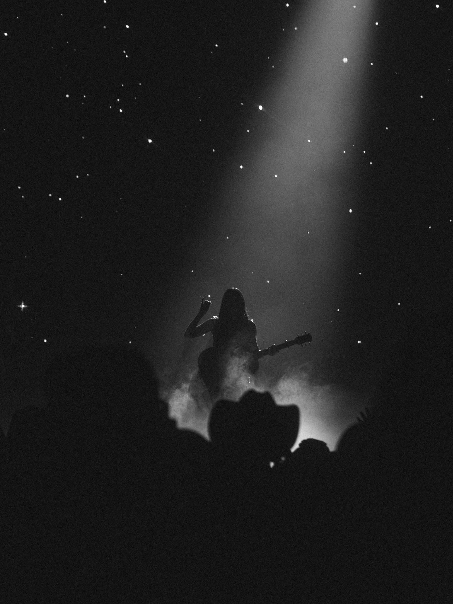 Silhouetted concert crowd against a starlit background with dramatic spotlight beams.