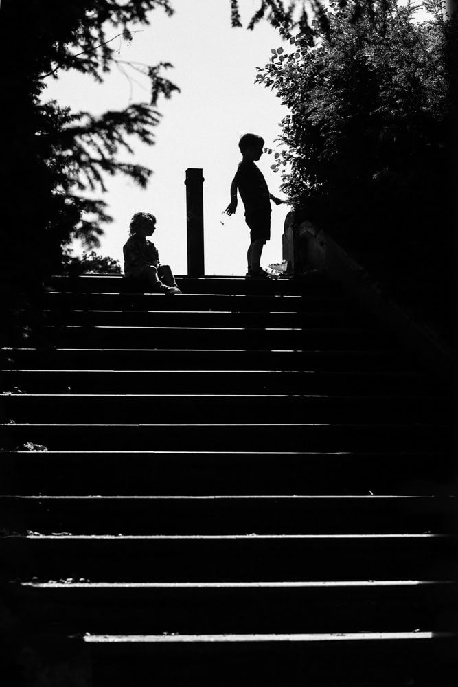 Two children in silhouette play on the top of a staircase at Bray Nature Reserve.