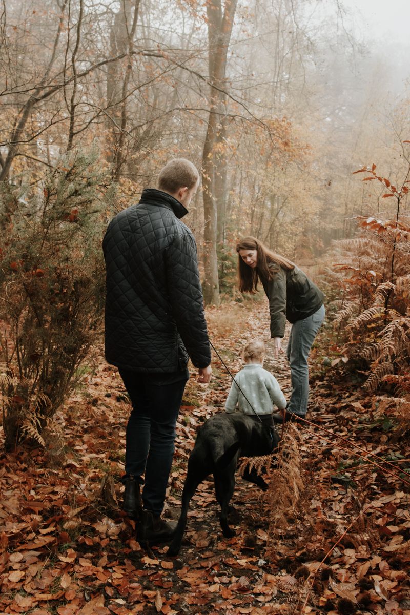 A family walk through the woodland in Marlow with their toddler and dog.