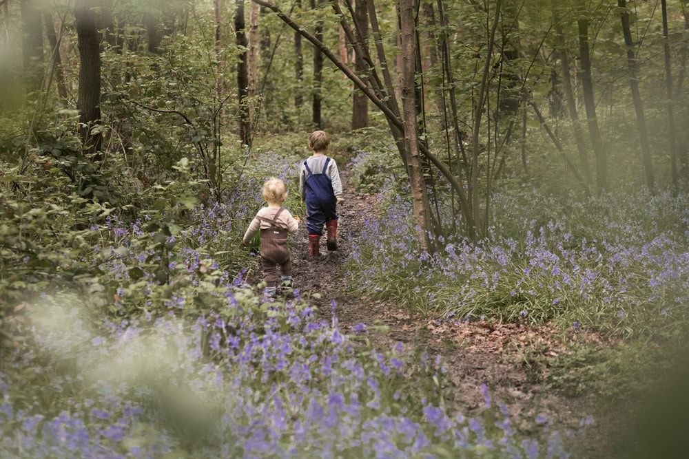 Two boys walk down a woodland path with bluebells on either side of them.