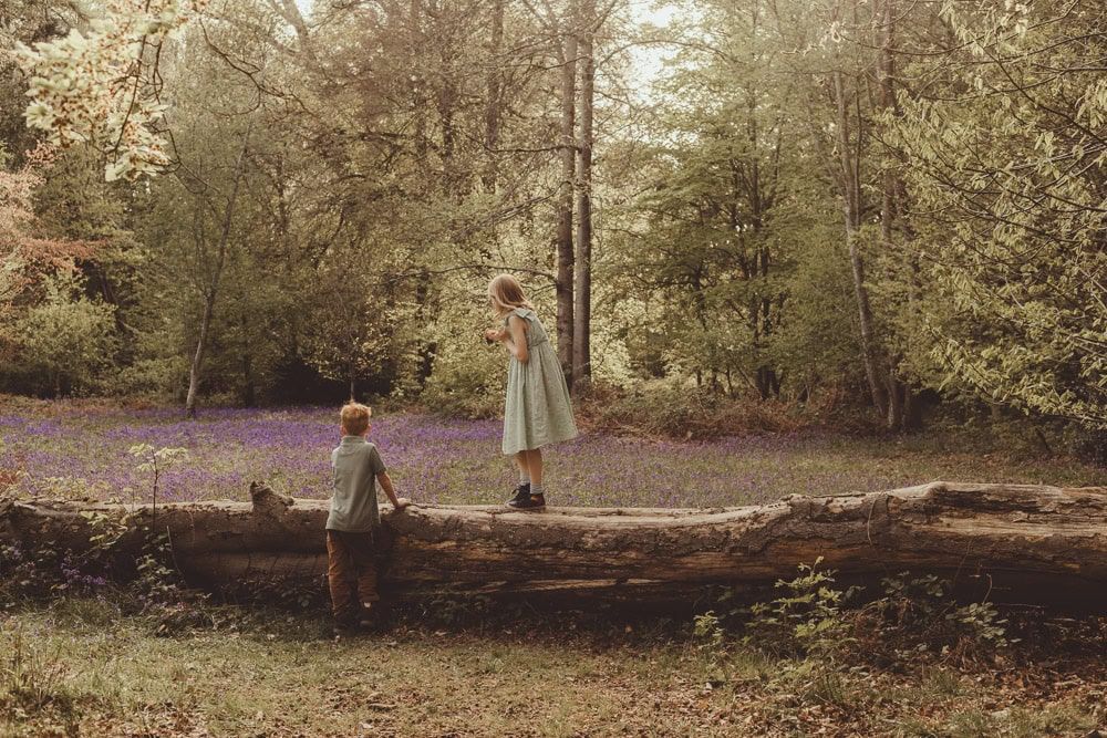 A pair of siblings look out at the bluebells in Marlow Common.