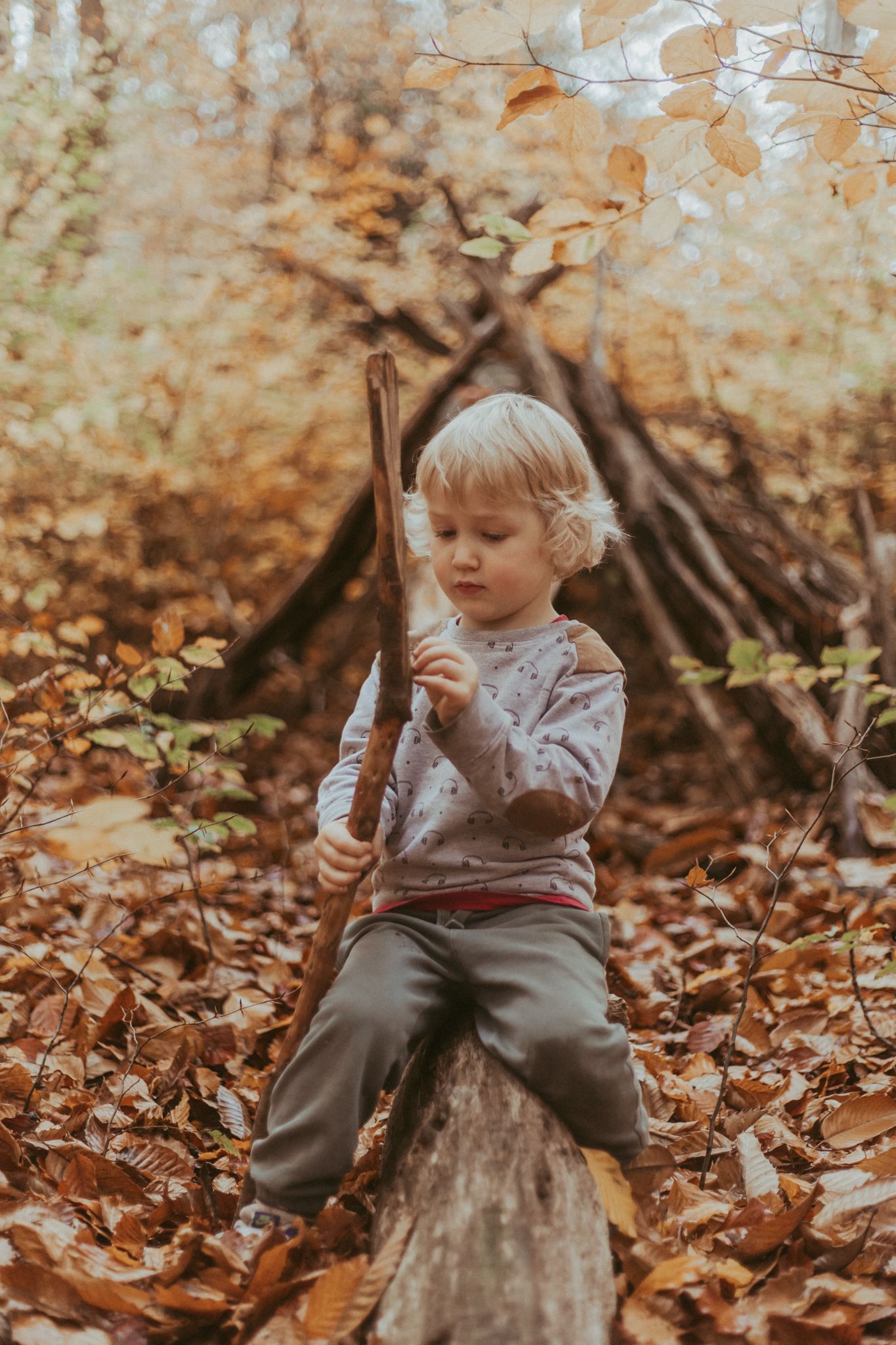 A boy sits on a fallen tree in Marlow Common.