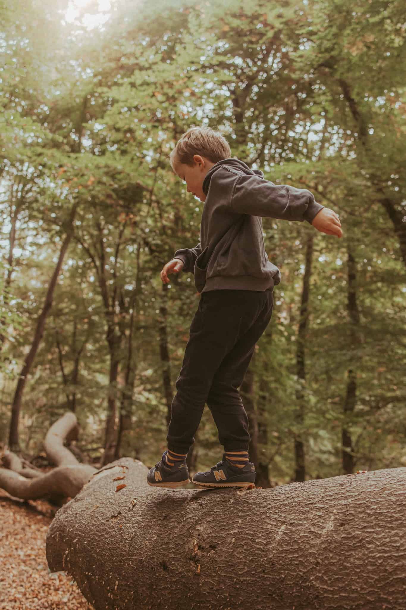 A boy walks across a fallen tree in Marlow Common.