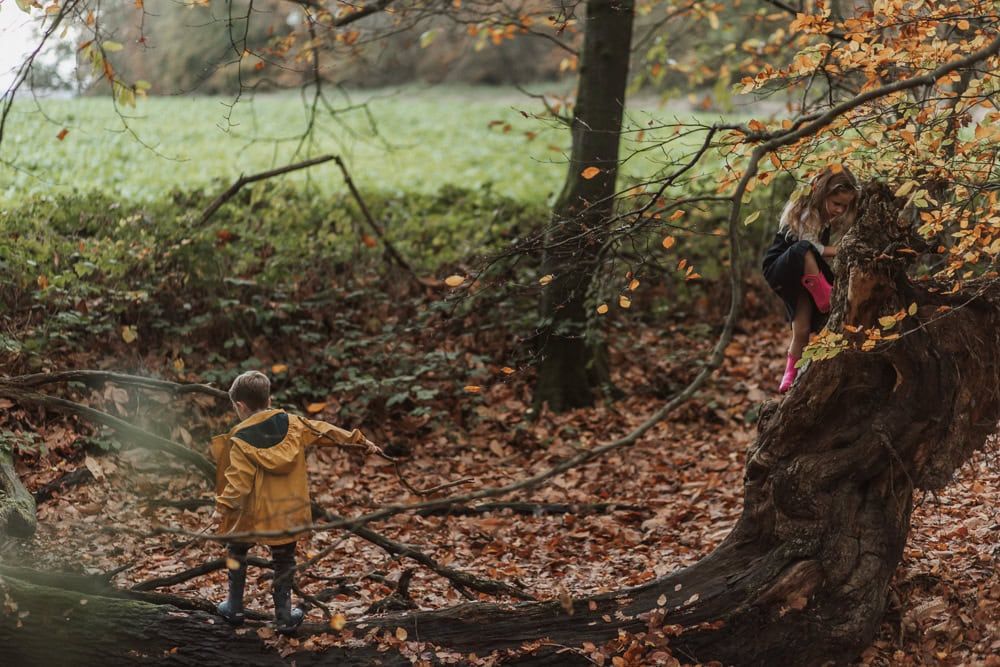 Two siblings walk across a fallen tree in Marlow Common in the autumn.