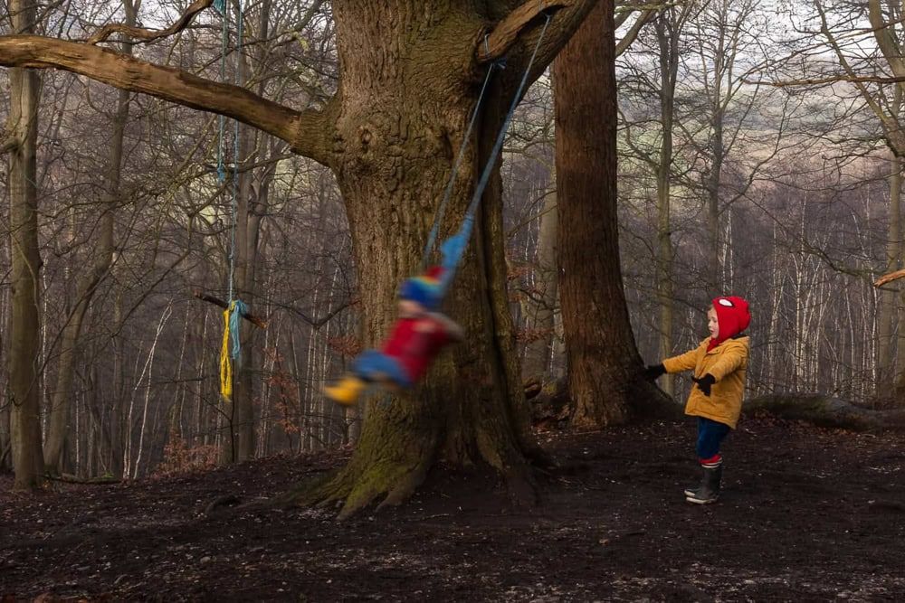 Two brothers playing on a swing hanging from a tree at Marlow Common.  The oldest pushes the youngest, who is a blur of motion.