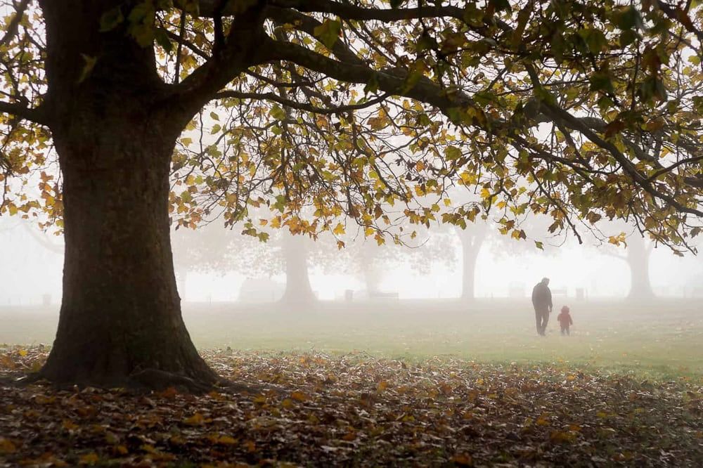 A father and son hold hands in the fog in HIgginson Park.