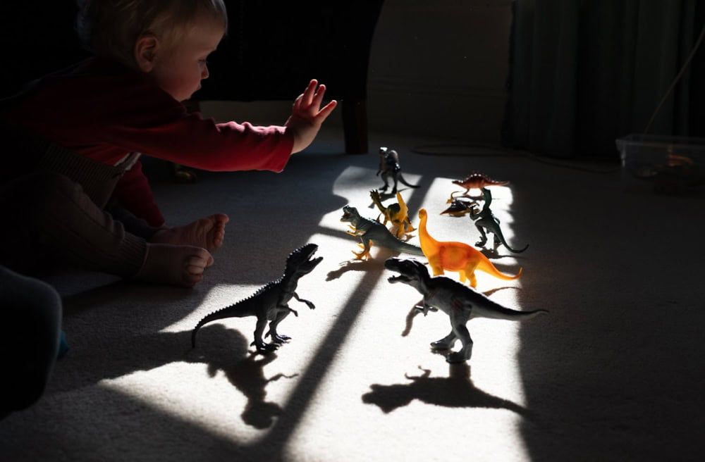 A young toddler reaches for a dinosaur toy.