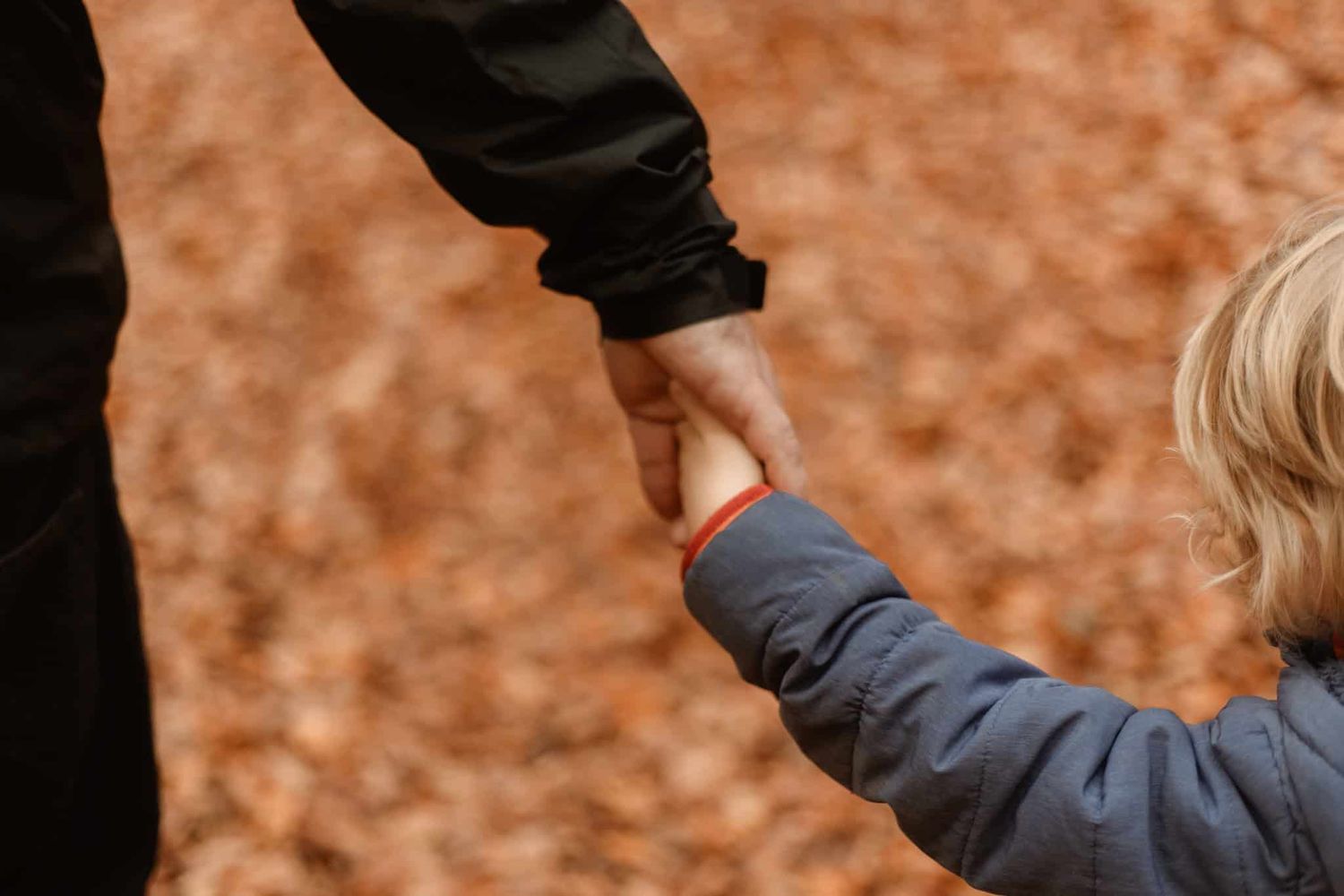 A father holds hands with his son against a backdrop of golden-bronze leaves in Marlow Common in the autumn.