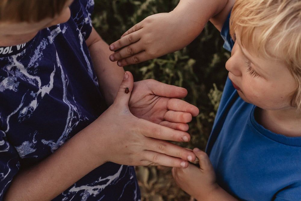 Two boys play with a ladybug they found amongst the sunflowers.